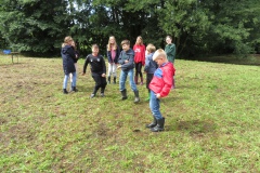 image15
